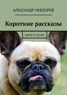 Александр Невзоров Короткие рассказы. Юмор и сатира обложка книги