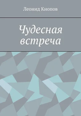 Леонид Кнопов Чудесная встреча обложка книги