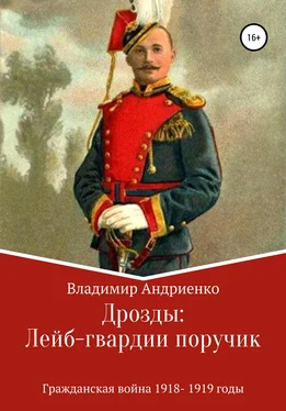 Владимир Андриенко Дрозды: Лейб-гвардии поручик обложка книги