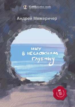 Андрей Межеричер Ищу в несложном глубину обложка книги