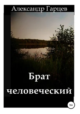 Александр Гарцев Брат человеческий обложка книги