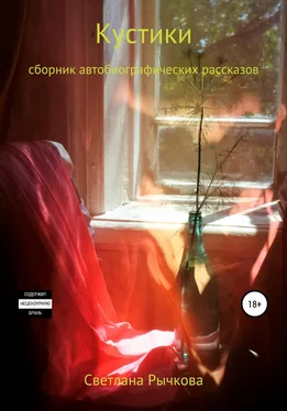 Светлана Рычкова Кустики обложка книги