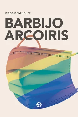 Diego Domínguez Barbijo Arcoiris обложка книги