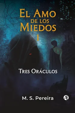 Malvina Soledad Pereira El Amo de los Miedos 1 обложка книги