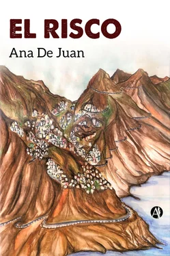 Ana De Juan El Risco обложка книги