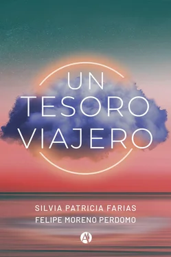 Silvia Patricia Farias Un tesoro viajero обложка книги