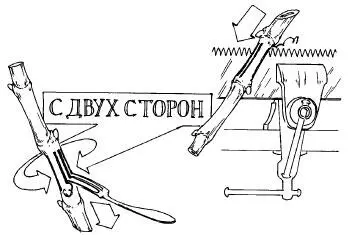Рис 7 Есть два простых способа укоренить подготовленные таким образом черенки - фото 10