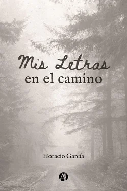 Horacio García Mis letras en el camino обложка книги