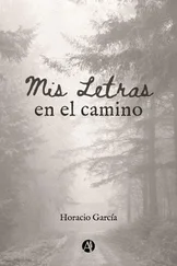 Horacio García - Mis letras en el camino