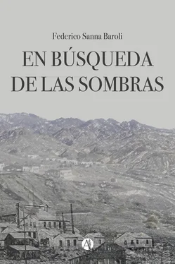 Federico Sanna Baroli En Búsqueda de las Sombras обложка книги