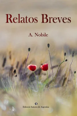 Augusto Nobile Relatos Breves обложка книги