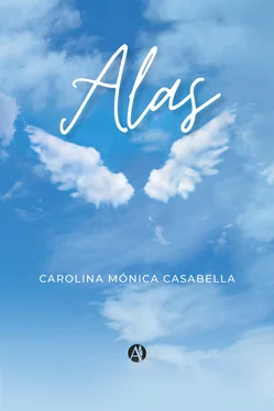 Carolina Mónica Casabella Alas обложка книги