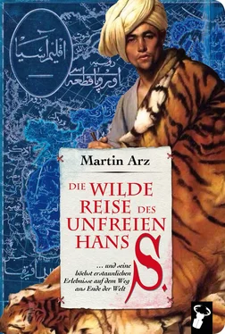 Martin Arz Die wilde Reise des unfreien Hans S. обложка книги