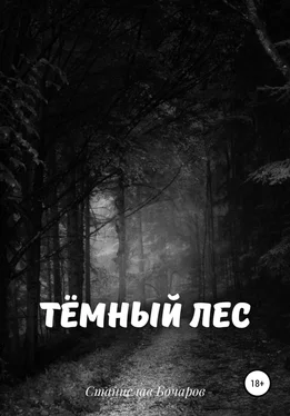 Станислав Бочаров Тёмный лес обложка книги