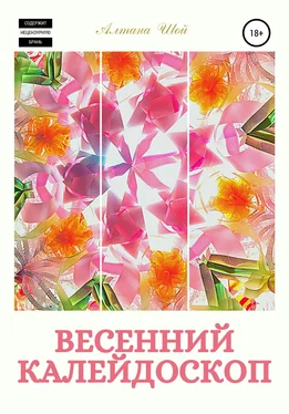 Алтана Шой Весенний калейдоскоп обложка книги