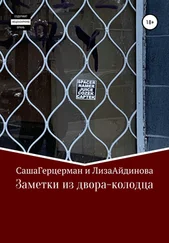 Саша Герцерман - Заметки из двора-колодца
