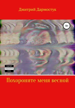 Дмитрий Дармостук Похороните меня весной обложка книги