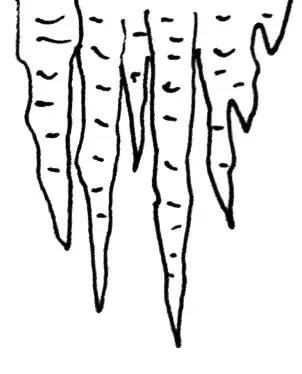 Снежинки кружатся в танце Буря треплет волосы старого древа И лишь звенящая - фото 14