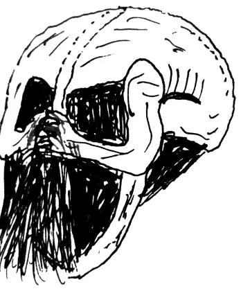 Заперт в своей голове Тьма мимикрировала в чертогах разума В поисках света в - фото 10