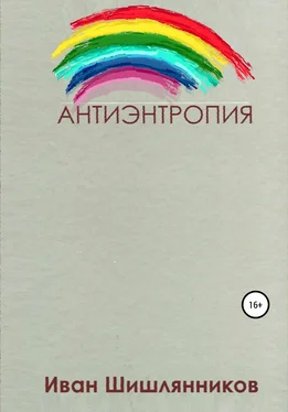 Иван Шишлянников Антиэнтропия обложка книги