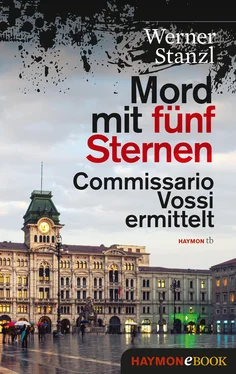 Werner Stanzl Mord mit fünf Sternen обложка книги