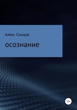 Алекс Синцов Осознание обложка книги