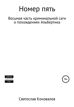 Святослав Коновалов Номер пять обложка книги