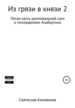 Святослав Коновалов Из грязи в князи 2 обложка книги