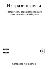 Святослав Коновалов - Из грязи в князи