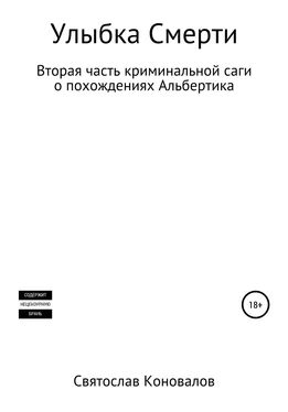 Святослав Коновалов Улыбка смерти обложка книги