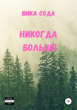 Вика Сода Никогда больше обложка книги