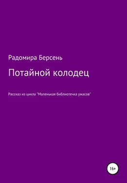 Радомира Берсень Потайной колодец обложка книги