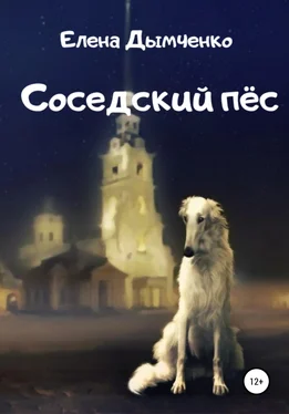 Елена Дымченко Соседский пёс обложка книги