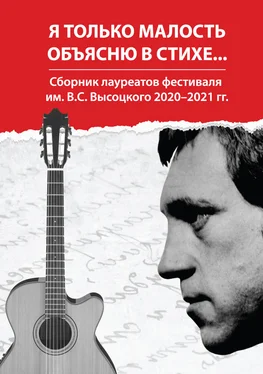 Array Сборник Я только малость объясню в стихе… Сборник лауреатов фестиваля им. В. С. Высоцкого 2020–2021 гг. обложка книги