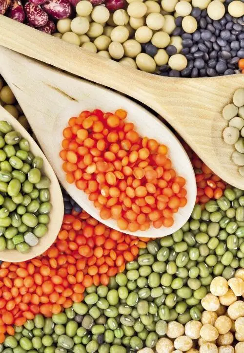 Таблица Грибы Таблица Мясо субпр - фото 83
