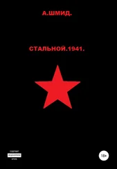 Александр Шмид - Стальной