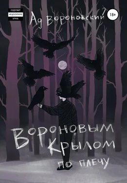 Ад Вороновский Вороновым крылом по плечу обложка книги