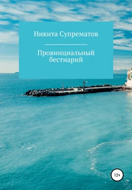 Никита Супрематов Провинциальный бестиарий, или Россия обложка книги