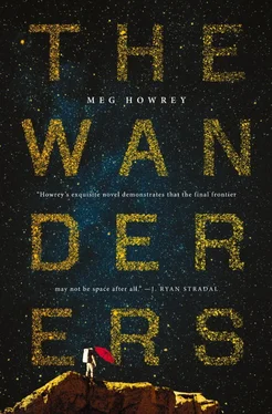 Meg Howrey The Wanderers обложка книги