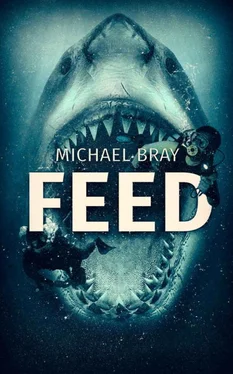 Michael Bray Feed обложка книги