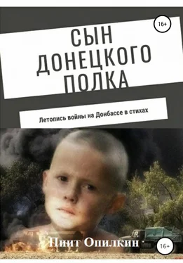 Пиит Опилкин Сын донецкого полка обложка книги