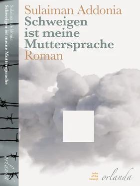 Sulaiman Addonia Schweigen ist meine Muttersprache обложка книги