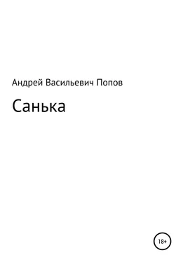 Андрей Попов Санька обложка книги