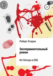Роберт Егоров - Экспериментальный роман