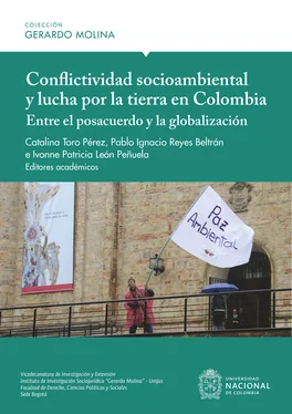 Array Pablo Ignacio Reyes Beltrán Conflictividad socioambiental y lucha por la tierra en Colombia: entre el posacuerdo y la globalización обложка книги