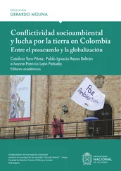 Array Pablo Ignacio Reyes Beltrán - Conflictividad socioambiental y lucha por la tierra en Colombia - entre el posacuerdo y la globalización