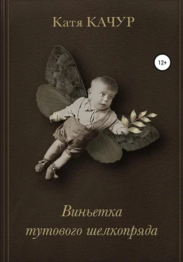 Катя Качур Виньетка тутового шелкопряда обложка книги
