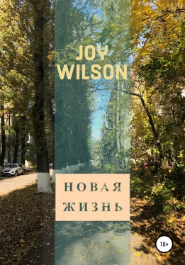 Joy Wilson Новая жизнь обложка книги