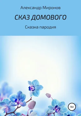 Александр Миронов Сказ Домового обложка книги