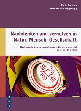 Dominik Helbling Nachdenken und vernetzen in Natur, Mensch, Gesellschaft (E-Book) обложка книги